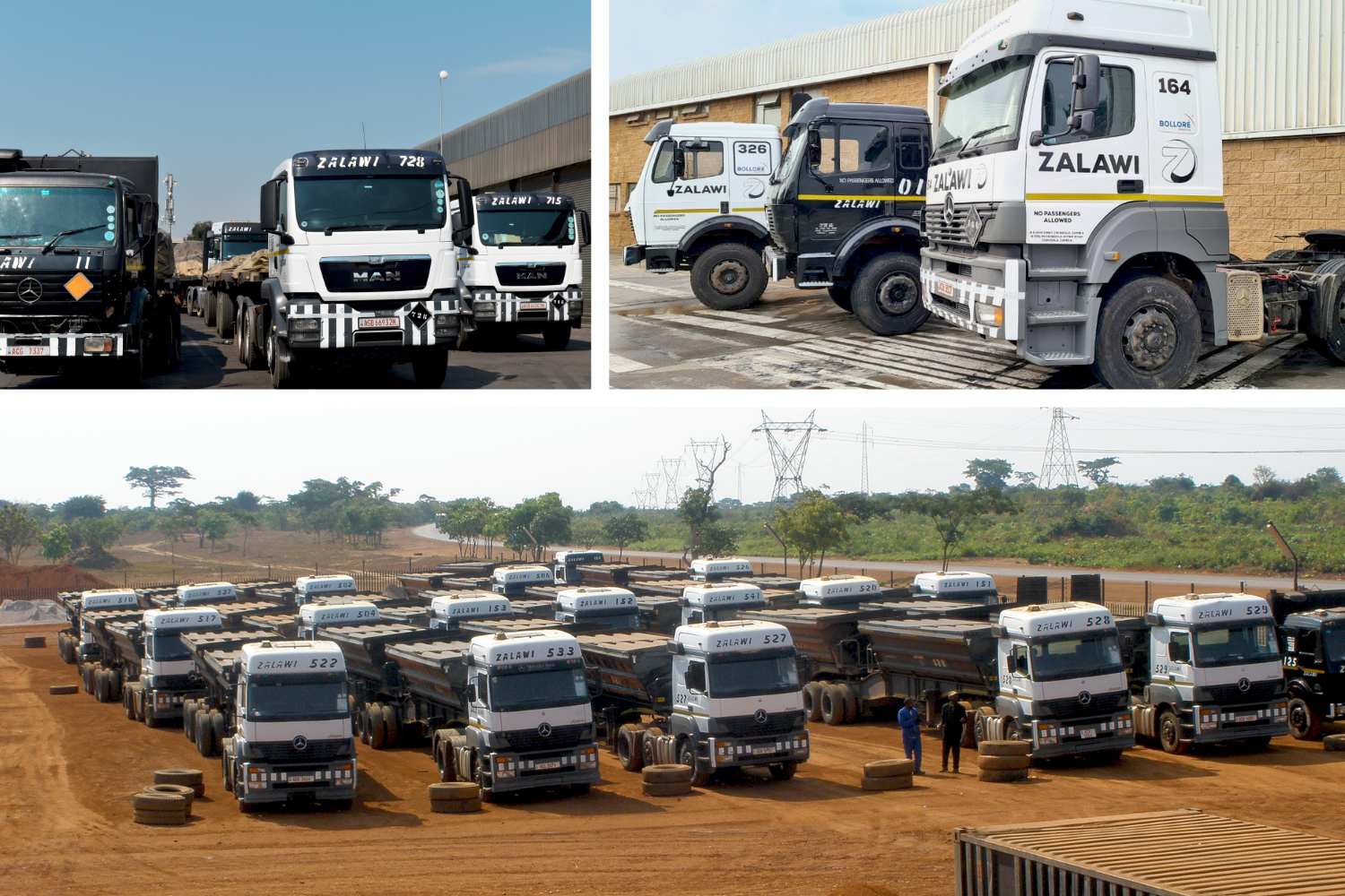 CarLo® optimises administration and performance of White Horse Carriers (PTY) Ltd in South Africa